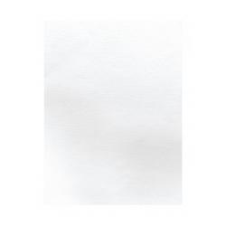 Apli Pack de 20 Hojas de Papel Textura Copo de Nieve - Ideal para Ocasiones Especiales - Compatible con Impresoras y Escritura M